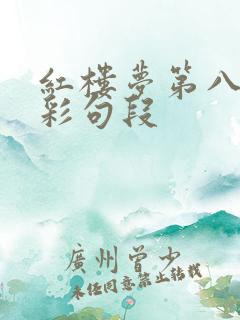 红楼梦第八回精彩句段