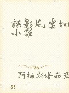 谍影风云txt小说