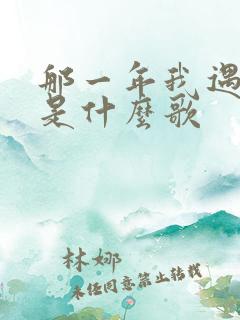 那一年我遇见你是什么歌