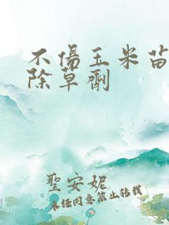 不伤玉米苗专用除草剂