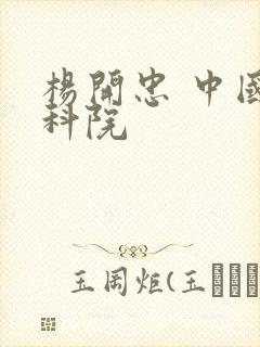 杨开忠 中国社科院