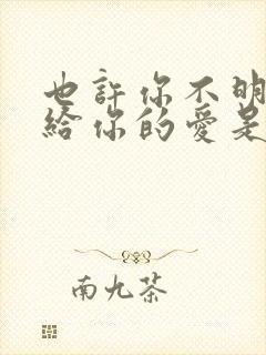 也许你不明白我给你的爱是什么歌