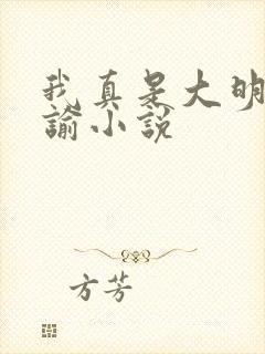 我真是大明星尝谕小说