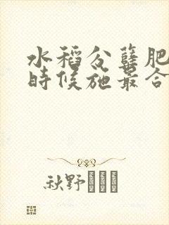 水稻分蘖肥什么时候施最合适