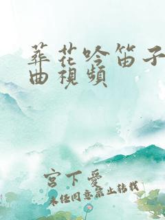 葬花吟笛子独奏曲视频