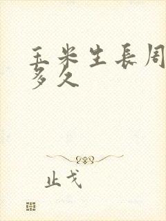 玉米生长周期要多久