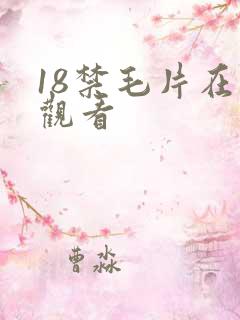 18禁毛片在线观看