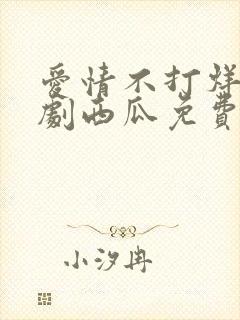 爱情不打烊电视剧西瓜免费观看