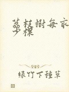 荔枝树每亩种多少棵