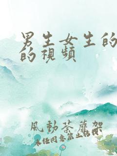 男生女生的那个的视频