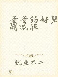 爸爸的好儿子无删减版