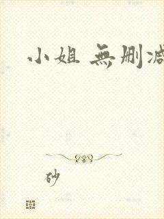 小姐 无删减版