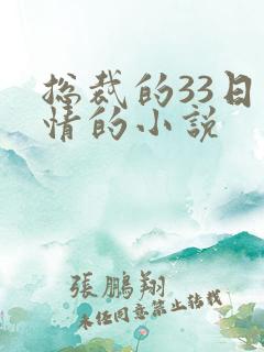 总裁的33日索情的小说