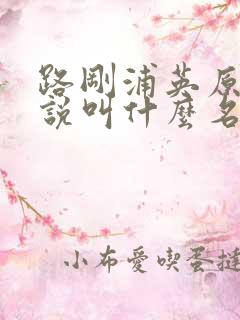 路刚浦英原著小说叫什么名字