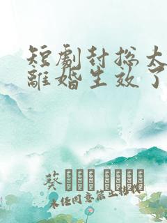 短剧封总太太的离婚生效了免费观看 短剧封总太太的离婚生效了免费观看