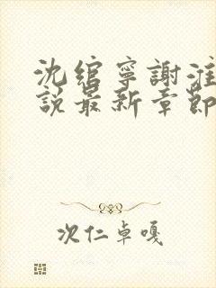 沈绾宁谢淮今小说最新章节免费阅读