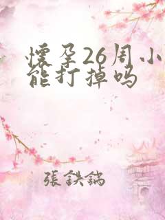 怀孕26周小孩能打掉吗