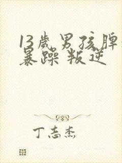 13岁男孩脾气暴躁 叛逆