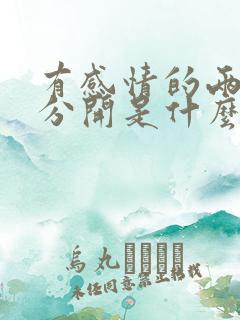 有感情的两个人分开是什么感觉