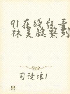 91在线观看丝袜美腿系列