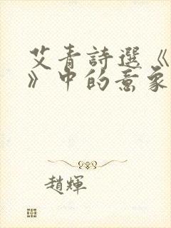 艾青诗选《太阳》中的意象