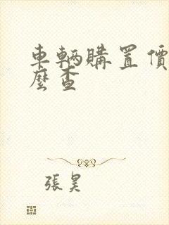 车辆购置价格怎么查