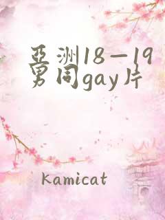 亚洲18—19男同gay片