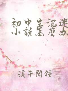 初中生沉迷网络小说怎么办