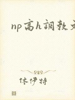 np高h调教文
