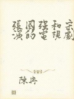 张国强和宋丹丹演的电视剧叫什么名字