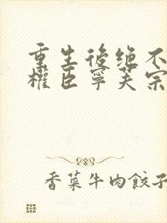 重生后绝不嫁给权臣宁芙宗肆大结局