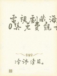 电视剧藏海传40集免费观看