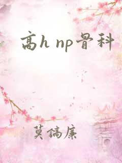 高h np骨科