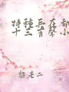 特种兵在都市夜十三有声小说
