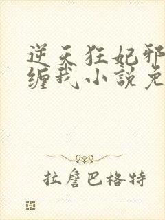 逆天狂妃邪王别缠我小说免费阅读