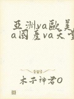亚洲va欧美va国产va天堂影院