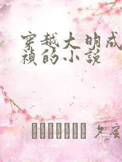 穿越大明成为崇祯的小说