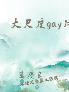 大尺度gay片