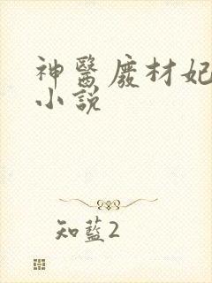 神医废材妃连玦小说