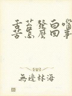 舌苔发白嘴里发苦怎么回事