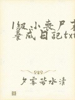 1级小丧尸末世养成日记txt