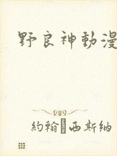 野良神动漫下载