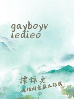 gayboyviedieo