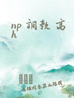 np 调教 高h