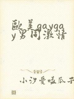 欧美gaygay男同激情