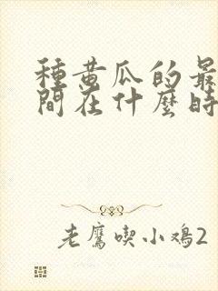 种黄瓜的最佳时间在什么时候