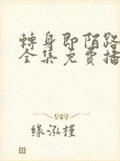 转身即陌路短剧全集免费播放