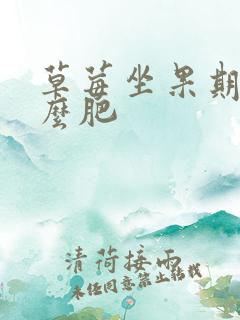 草莓坐果期施什么肥
