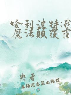 哈利波特:我的魔法颠覆霍格华兹