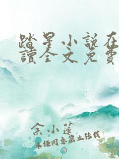 踏星小说在线阅读全文免费